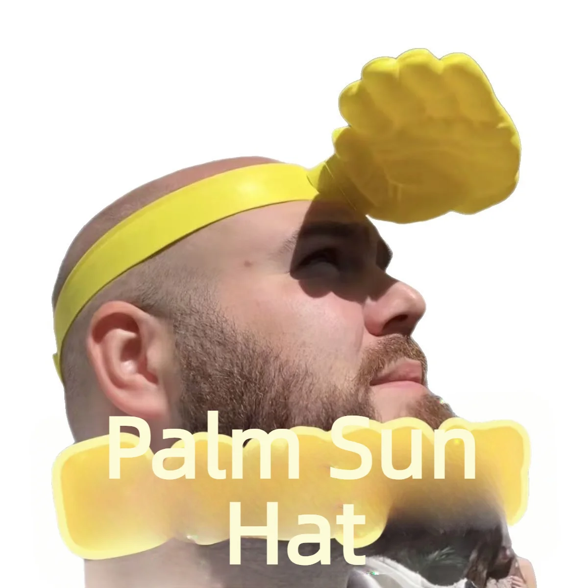 1/3 Piezas Novedoso Sombrero d - Visor Sun Hat reseña y precio